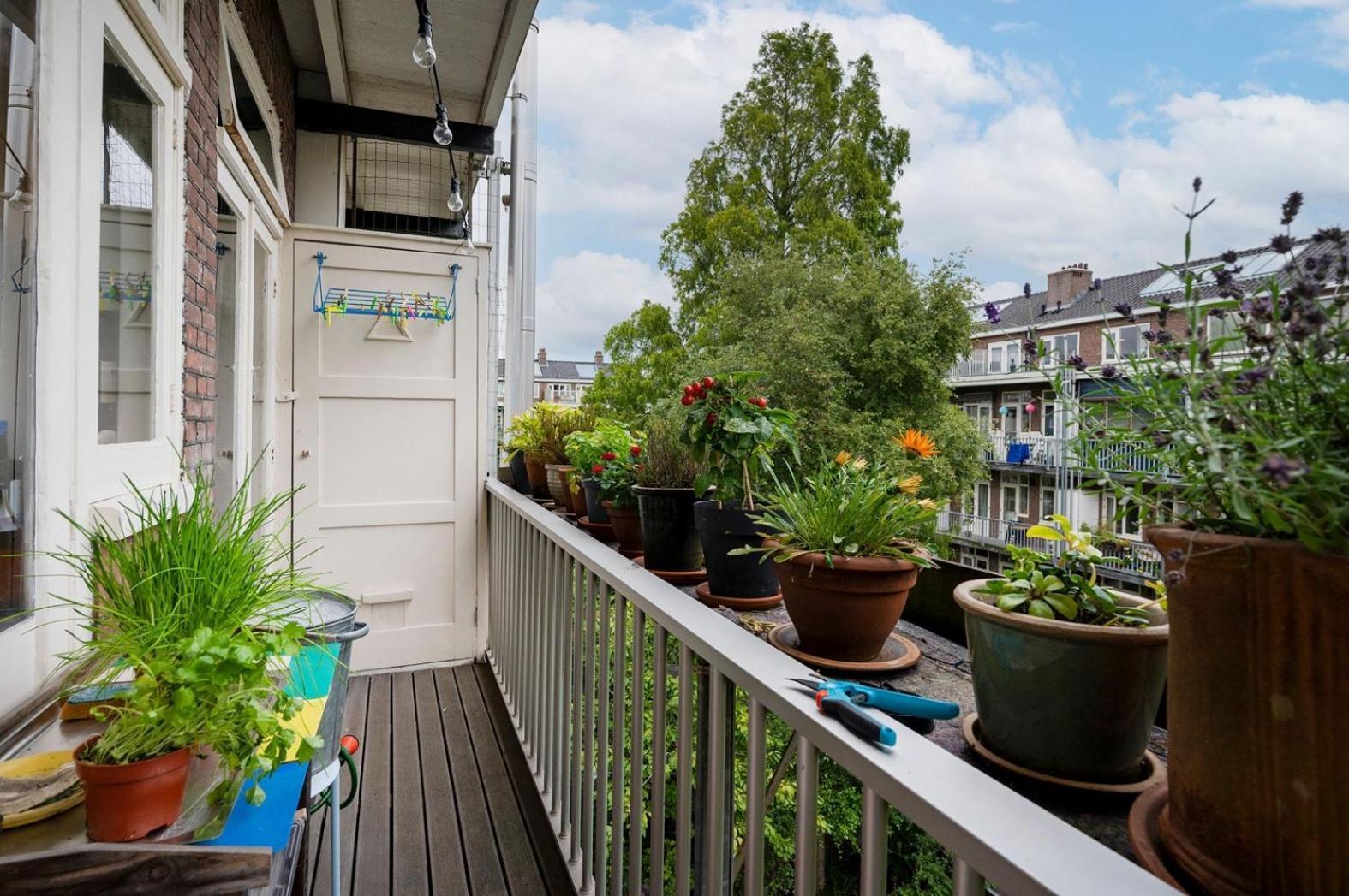 Apartment Sandra อัมสเตอร์ดัม ภายนอก รูปภาพ